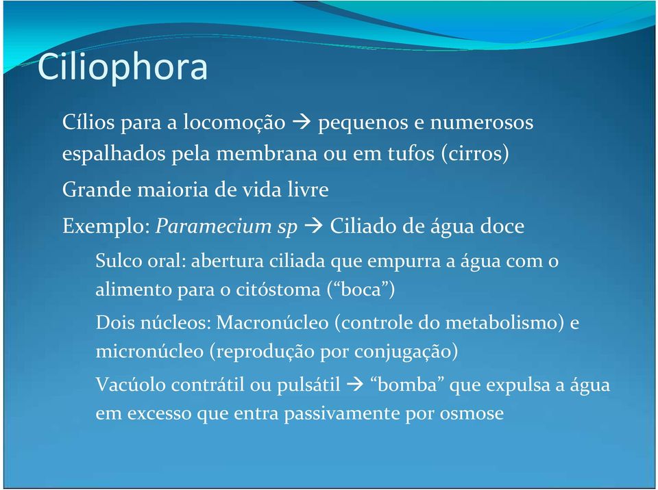 com o alimento para o citóstoma ( boca ) Dois núcleos: Macronúcleo (controle do metabolismo) e micronúcleo