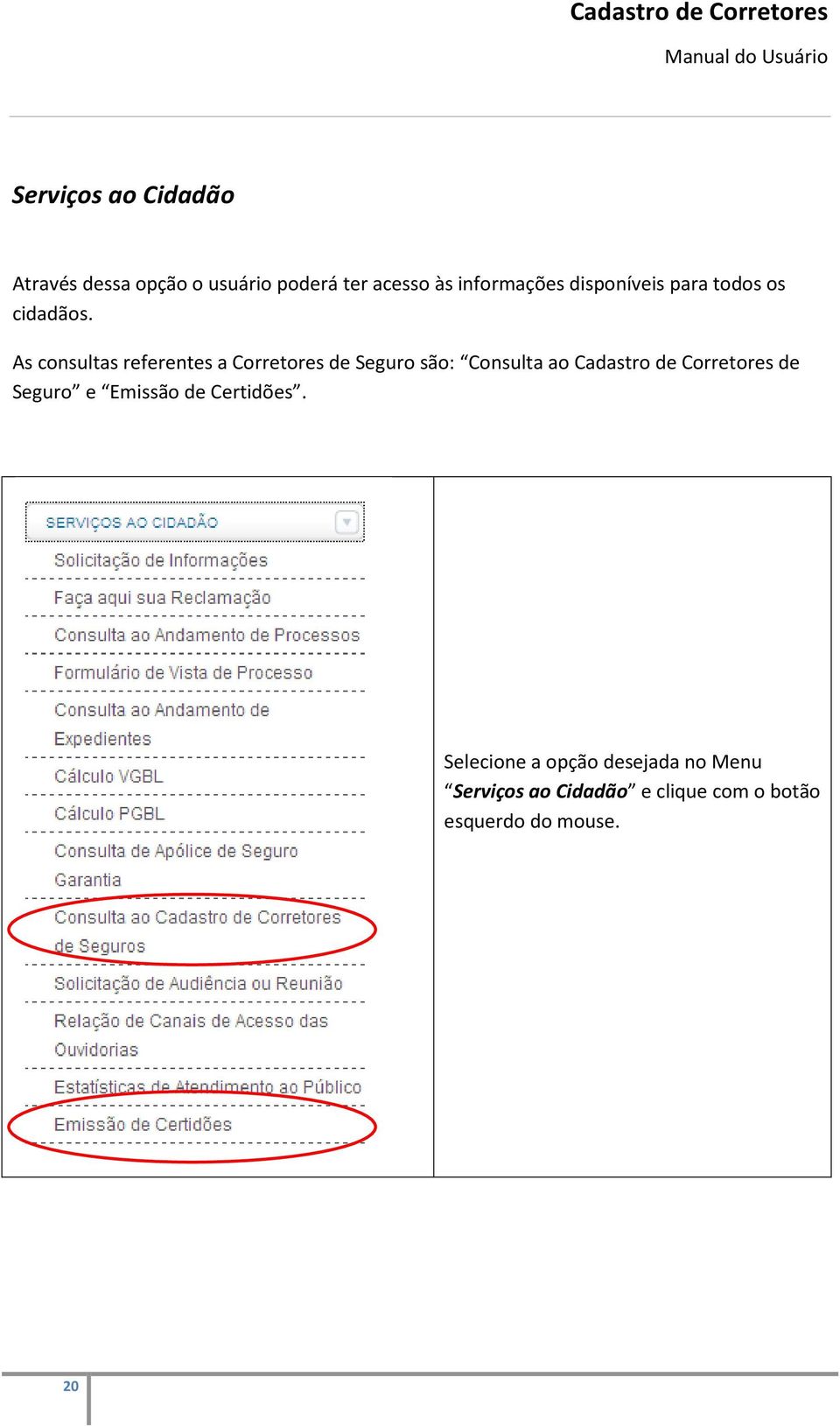 As consultas referentes a Corretores de Seguro são: Consulta ao Cadastro de