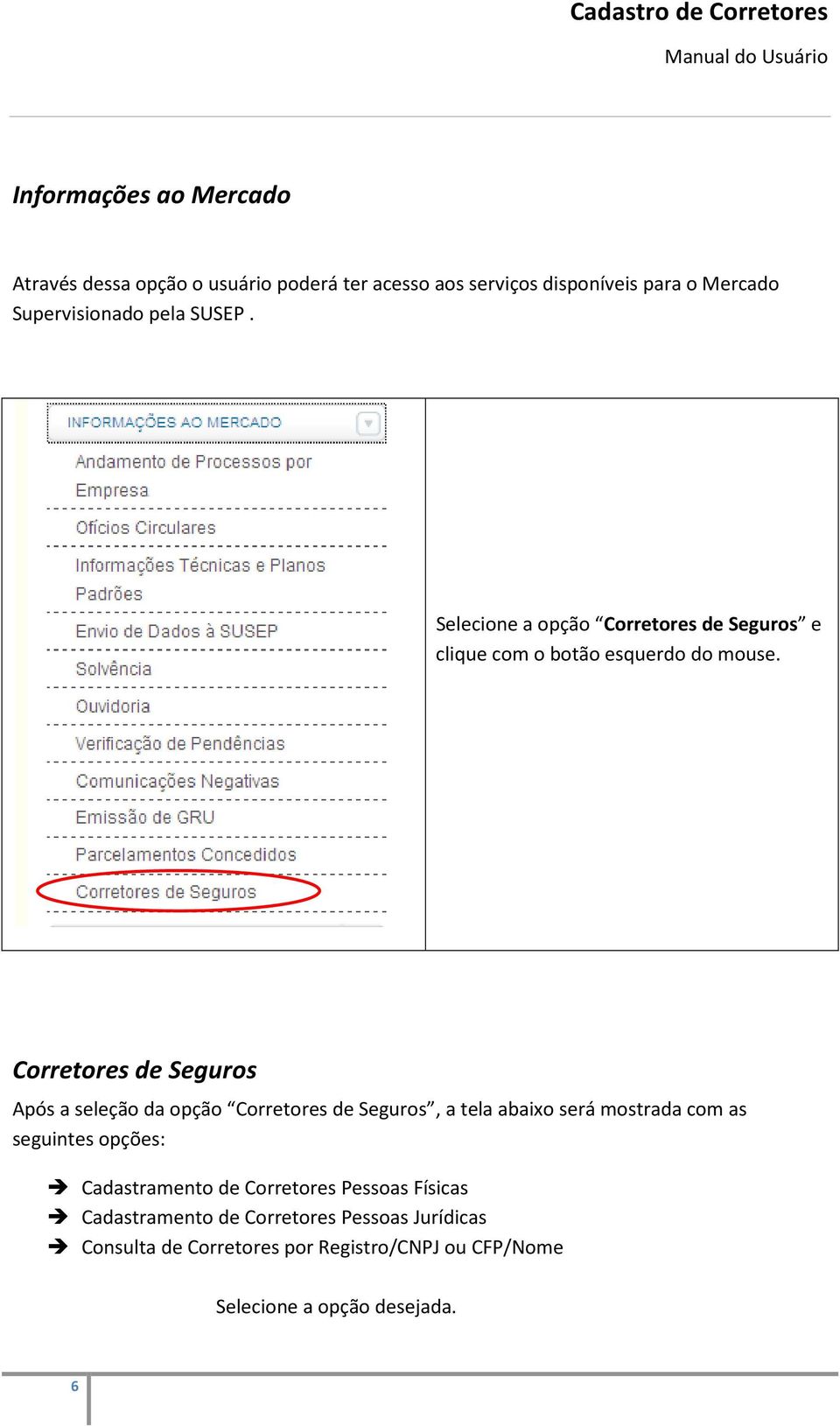 Corretores de Seguros Após a seleção da opção Corretores de Seguros, a tela abaixo será mostrada com as seguintes opções: