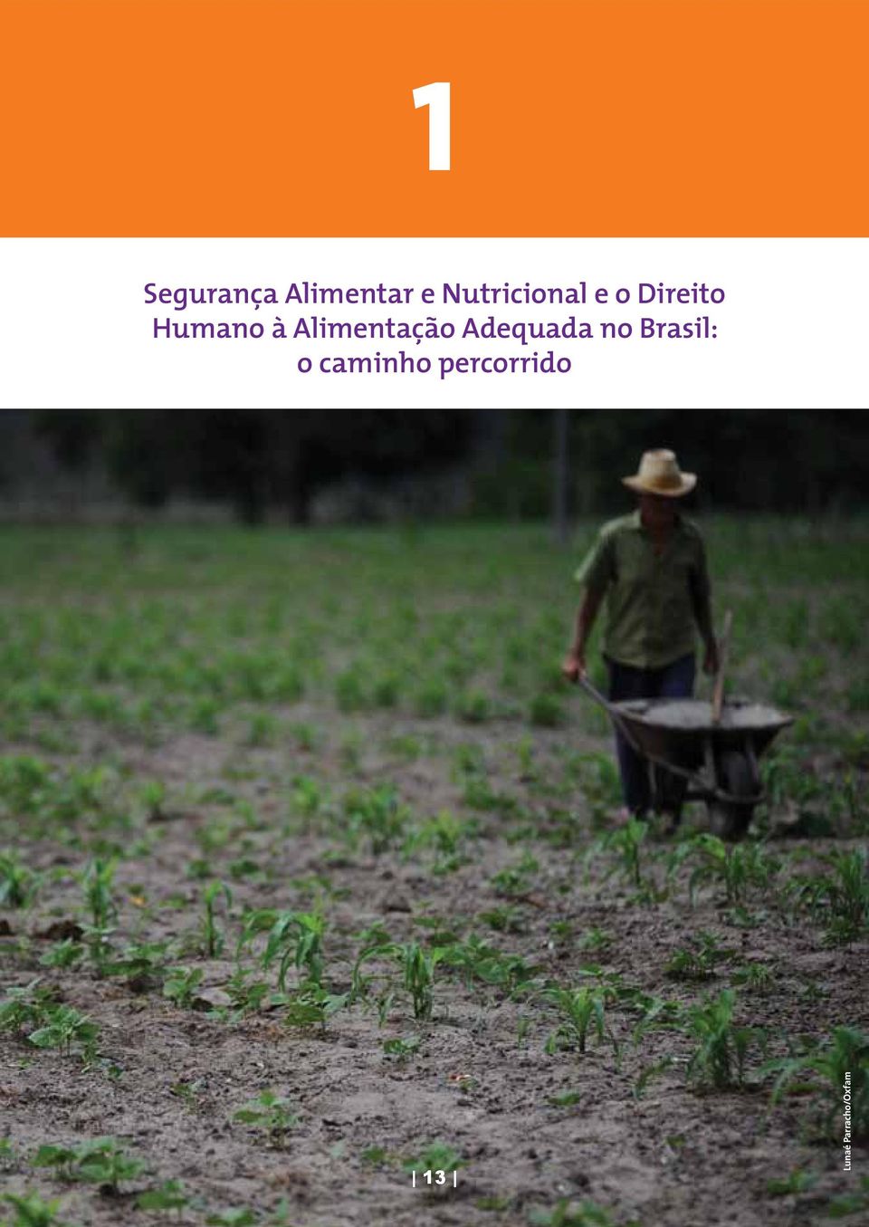 Alimentação Adequada no Brasil: o