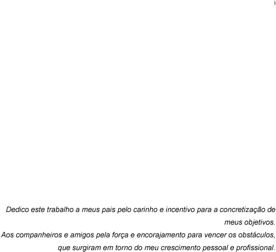 Aos companheiros e amigos pela força e encorajamento para