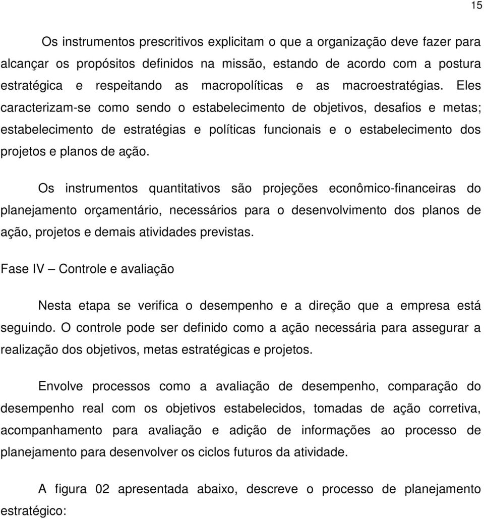 Eles caracterizam-se como sendo o estabelecimento de objetivos, desafios e metas; estabelecimento de estratégias e políticas funcionais e o estabelecimento dos projetos e planos de ação.