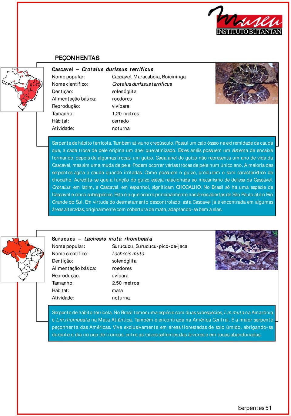 Cada anel do guizo não representa um ano de vida da Cascavel, mas sim uma muda de pele. Podem ocorrer várias trocas de pele num único ano. A maioria das serpentes agita a cauda quando irritadas.