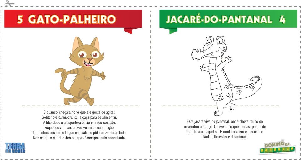 Pequenos animais e aves viram a sua refeição. Tem listras escuras e largas nas patas e pêlo cinza-amarelado.