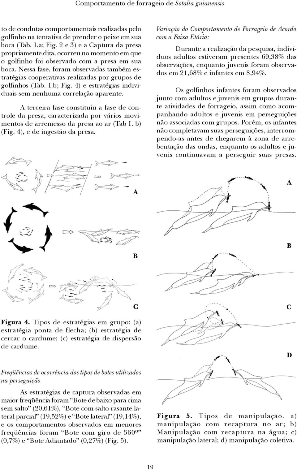 Nessa fase, foram observadas também estratégias cooperativas realizadas por grupos de golfinhos (Tab. I.b; Fig. 4) e estratégias individuais sem nenhuma correlação aparente.