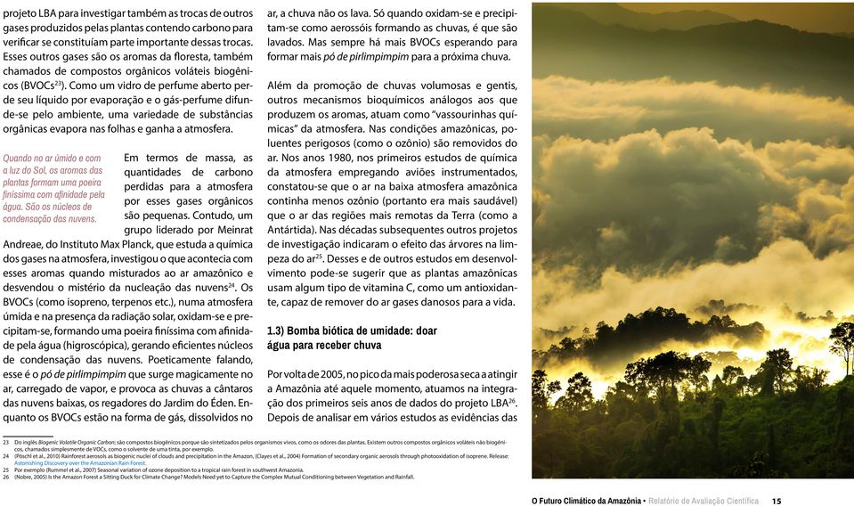 Como um vidro de perfume aberto perde seu líquido por evaporação e o gás-perfume difunde-se pelo ambiente, uma variedade de substâncias orgânicas evapora nas folhas e ganha a atmosfera.