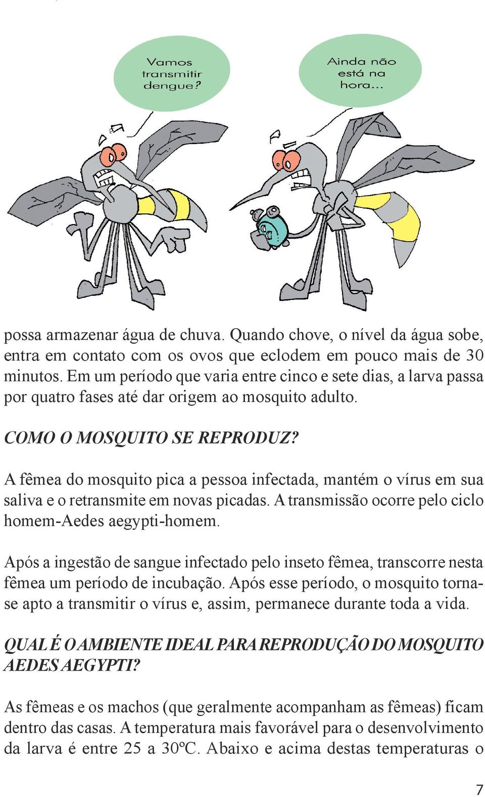 A fêmea do mosquito pica a pessoa infectada, mantém o vírus em sua saliva e o retransmite em novas picadas. A transmissão ocorre pelo ciclo homem-aedes aegypti-homem.