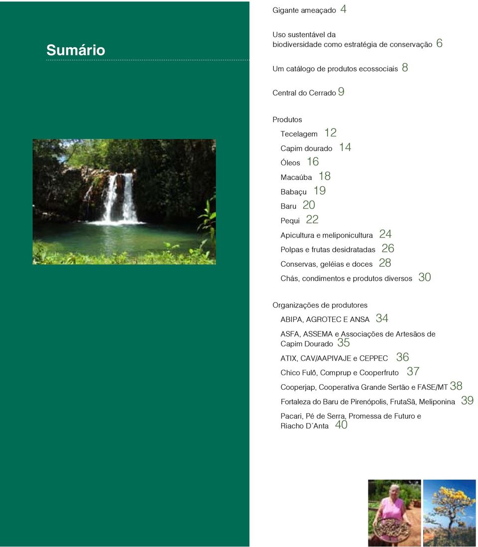 produtos diversos 30 3 Organizações de produtores ABIPA, AGROTEC E ANSA 34 ASFA, ASSEMA e Associações de Artesãos de Capim Dourado 35 ATIX, CAV/AAPIVAJE e CEPPEC 36 Chico Fulô,