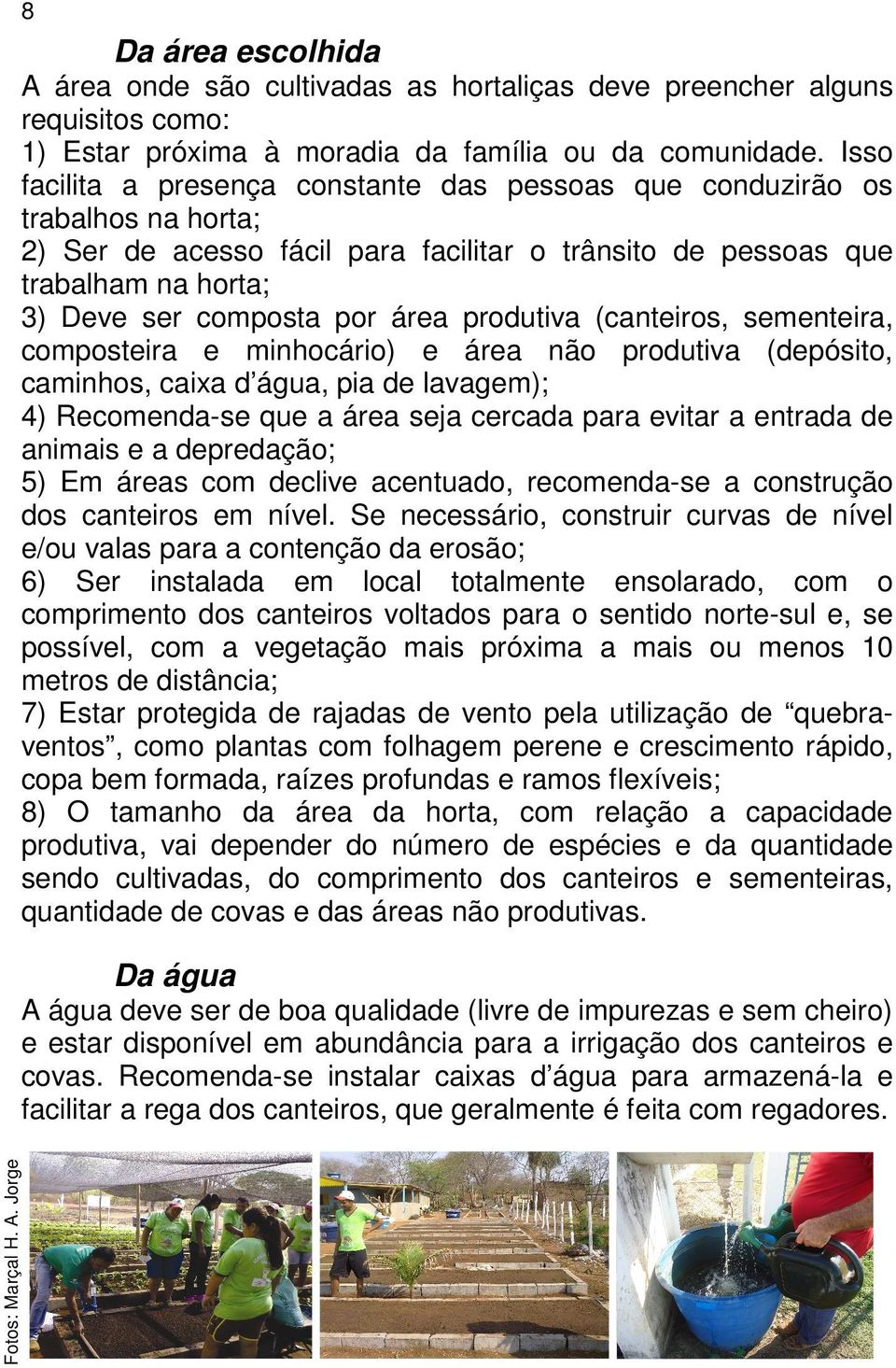 produtiva (canteiros, sementeira, composteira e minhocário) e área não produtiva (depósito, caminhos, caixa d água, pia de lavagem); 4) Recomenda-se que a área seja cercada para evitar a entrada de