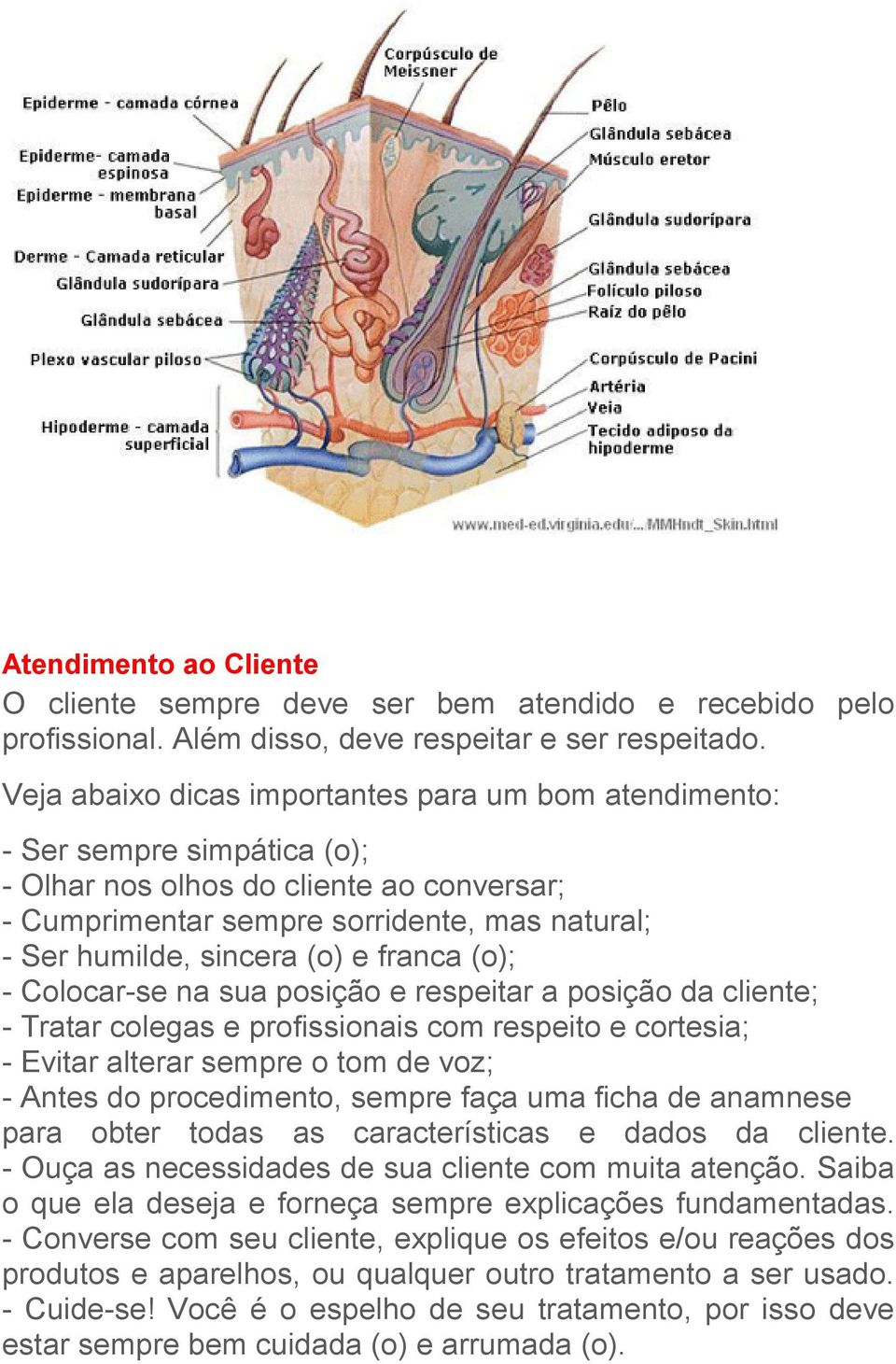 e franca (o); - Colocar-se na sua posição e respeitar a posição da cliente; - Tratar colegas e profissionais com respeito e cortesia; - Evitar alterar sempre o tom de voz; - Antes do procedimento,