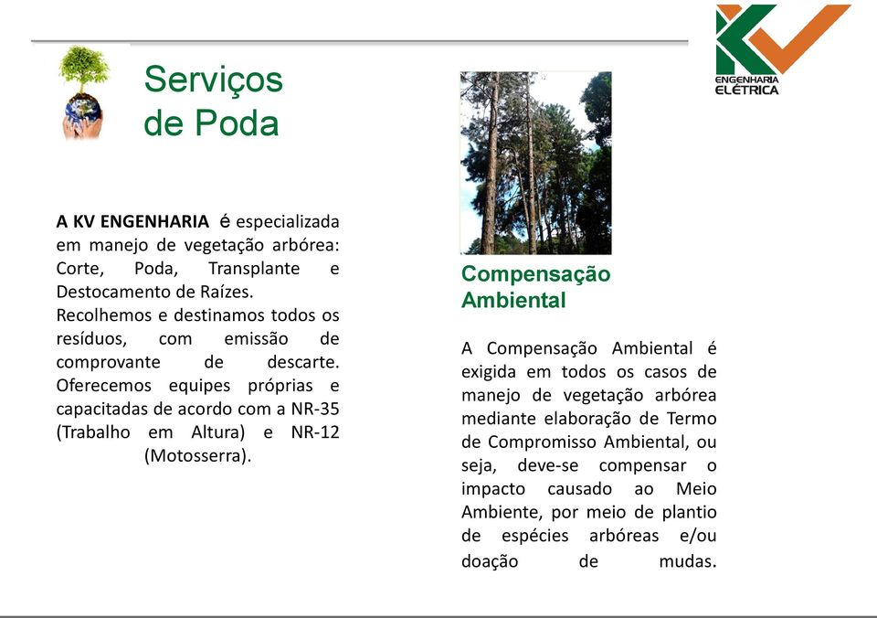 Oferecemos equipes próprias e capacitadas de acordo com a NR-35 (Trabalho em Altura) e NR-12 (Motosserra).