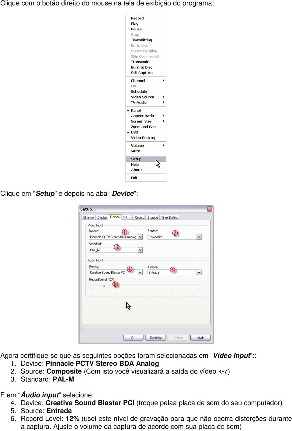 Source: Composite (Com isto você visualizará a saída do vídeo k-7) 3. Standard: PAL-M E em Áudio input selecione: 4.
