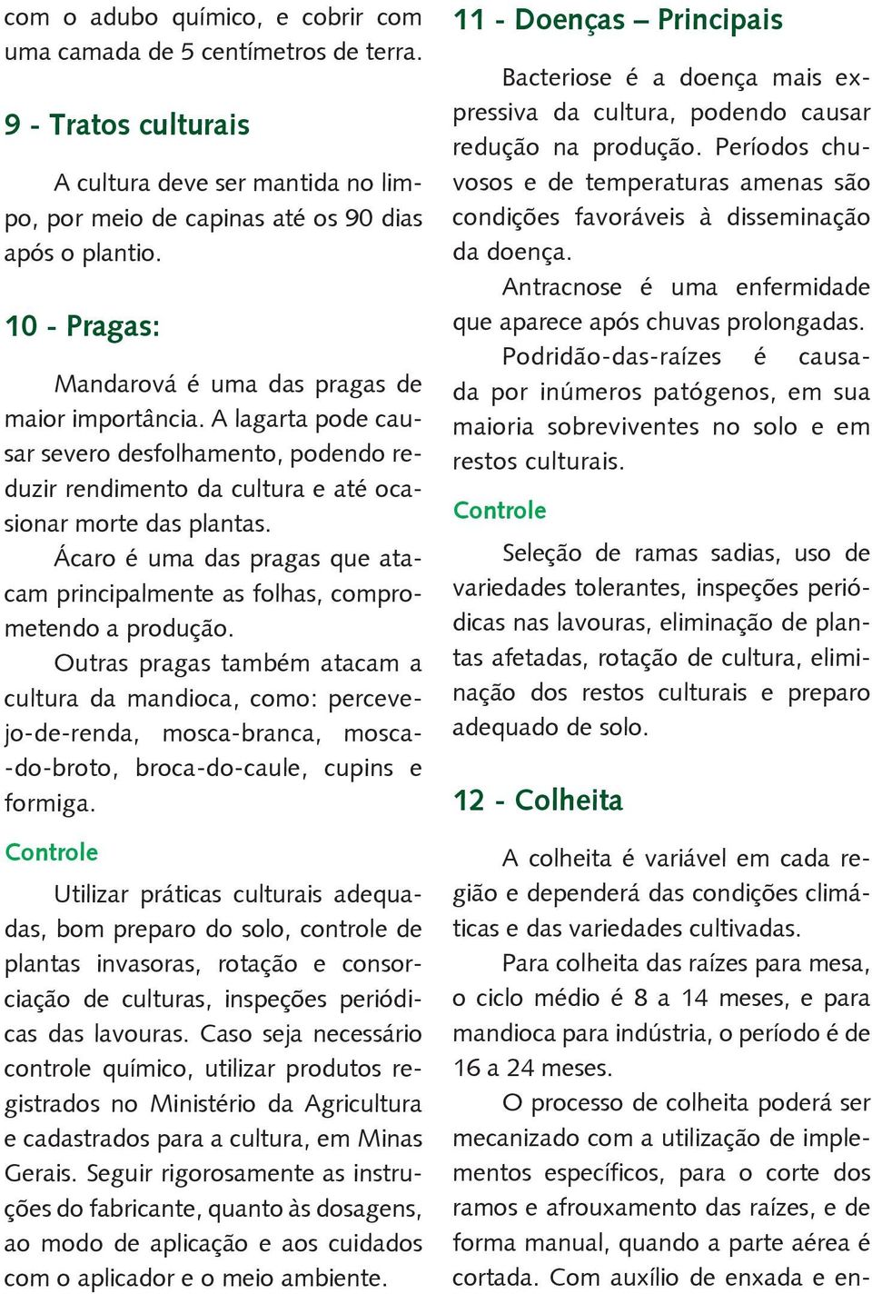 Ácaro é uma das pragas que atacam principalmente as folhas, comprometendo a produção.