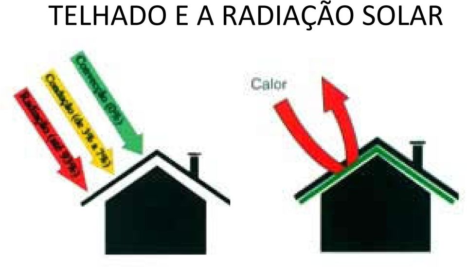 RDIÇÃO