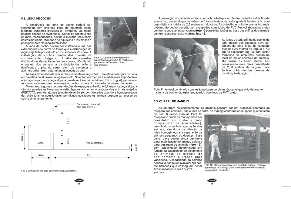 durabilidade. A linha de cocho deverá ser instalada numa das extremidades do curral de forma que a distribuição de ração seja feita por veículos circulando fora do curral.