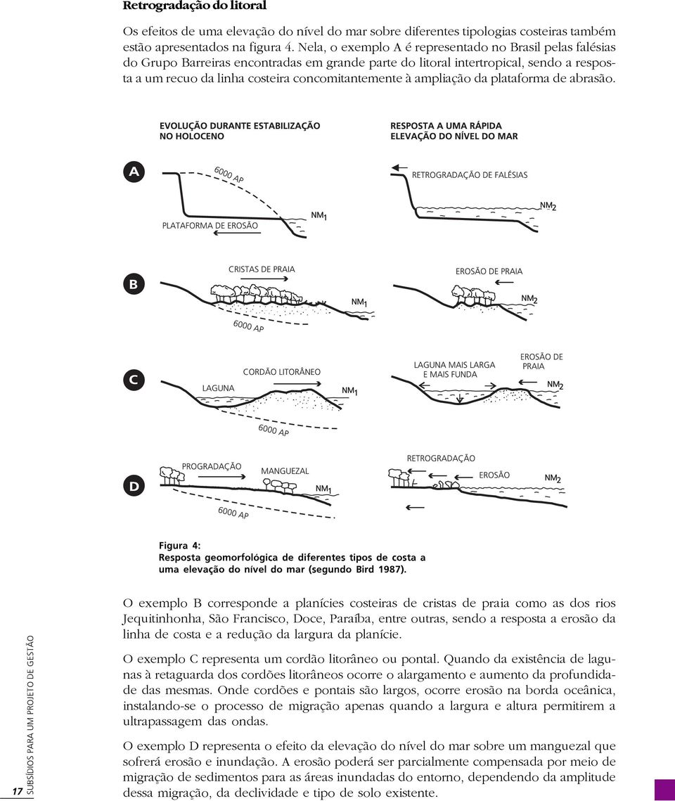 ampliação da plataforma de abrasão. Figura 4: Resposta geomorfológica de diferentes tipos de costa a uma elevação do nível do mar (segundo Bird 1987).