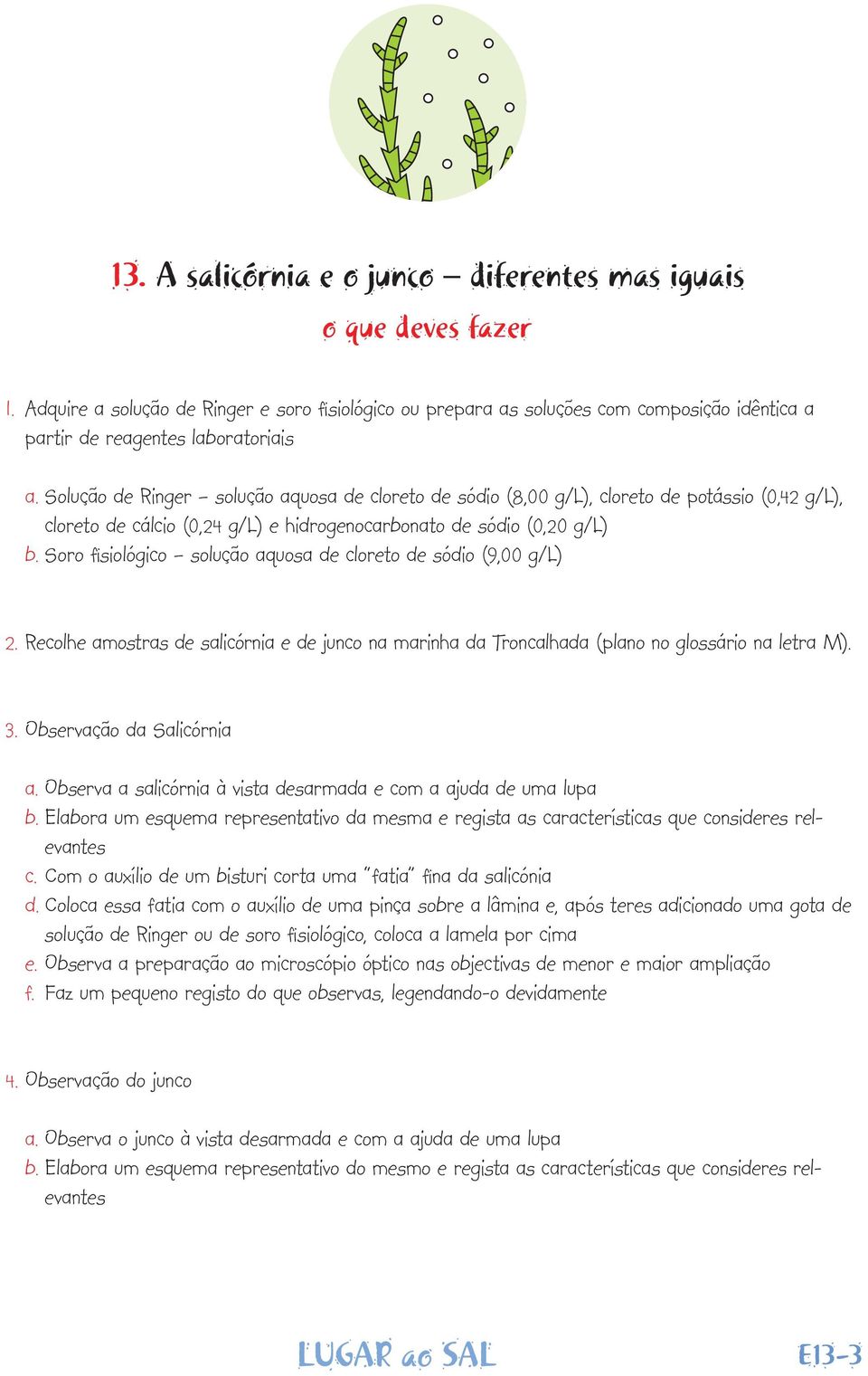 Soro fisiológico solução aquosa de cloreto de sódio (9,00 g/l) 2. Recolhe amostras de salicórnia e de junco na marinha da Troncalhada (plano no glossário na letra M). 3. Observação da Salicórnia a.