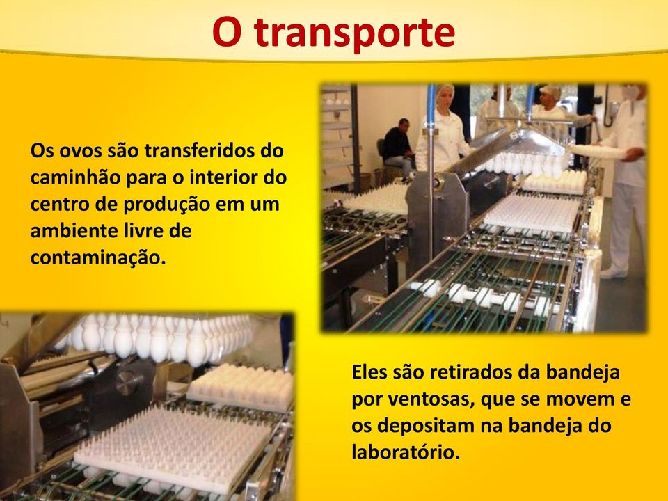 de contaminação.