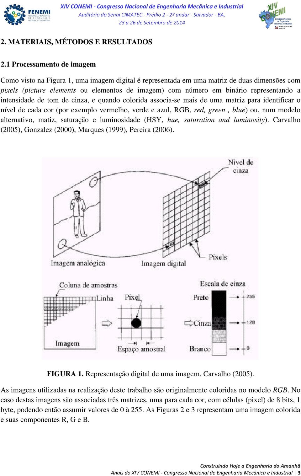 representando a intensidade de tom de cinza, e quando colorida associa-se mais de uma matriz para identificar o nível de cada cor (por exemplo vermelho, verde e azul, RGB, red, green, blue) ou, num