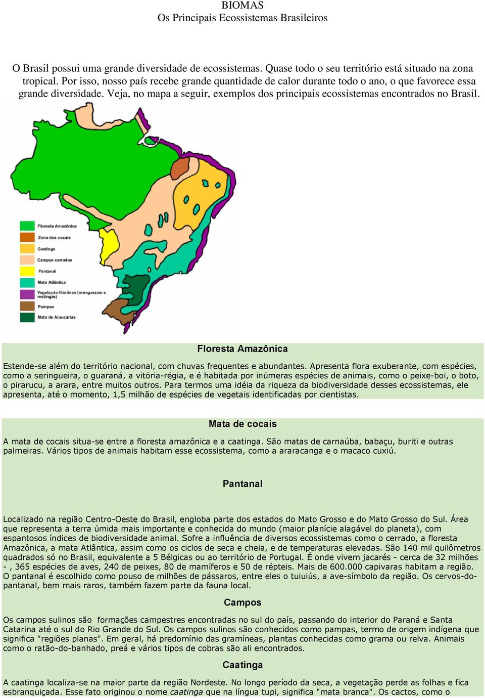 Floresta Amazônica Estende-se além do território nacional, com chuvas frequentes e abundantes.