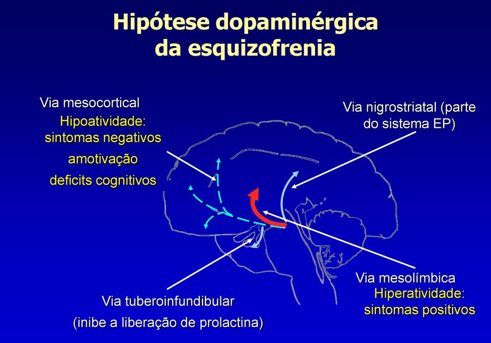 Via nigrostriatal (parte do sistema EP) Via tuberoinfundibular