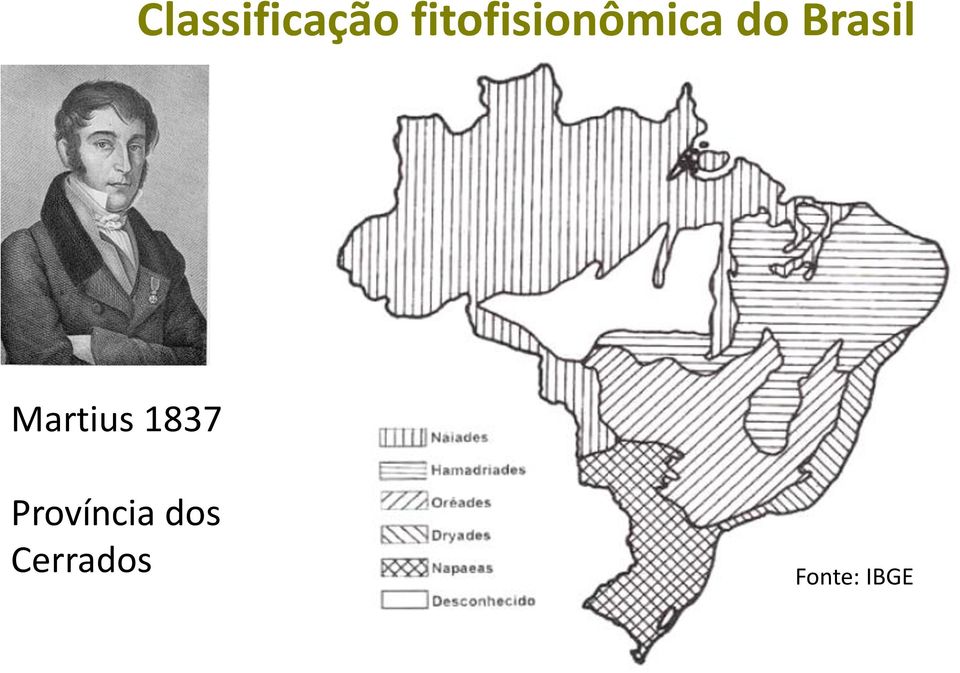 Brasil Martius 1837