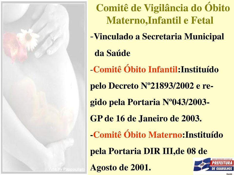 Decreto Nº21893/2002 e regido pela Portaria Nº043/2003- GP de 16 de Janeiro