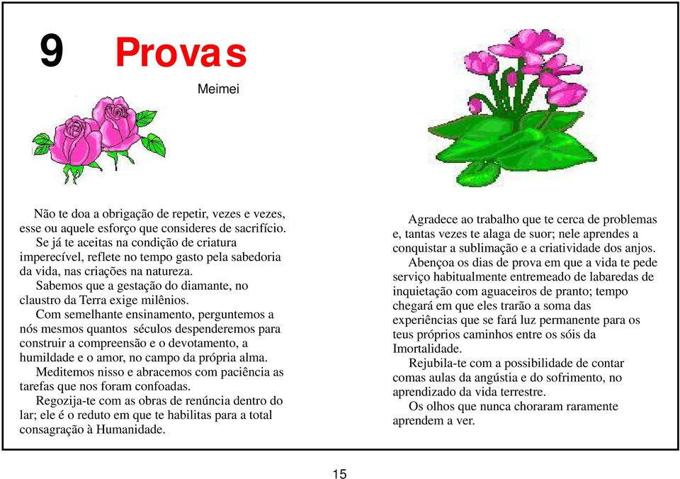 Com semelhante ensinamento, perguntemos a nós mesmos quantos séculos despenderemos para construir a compreensão e o devotamento, a humildade e o amor, no campo da própria alma.