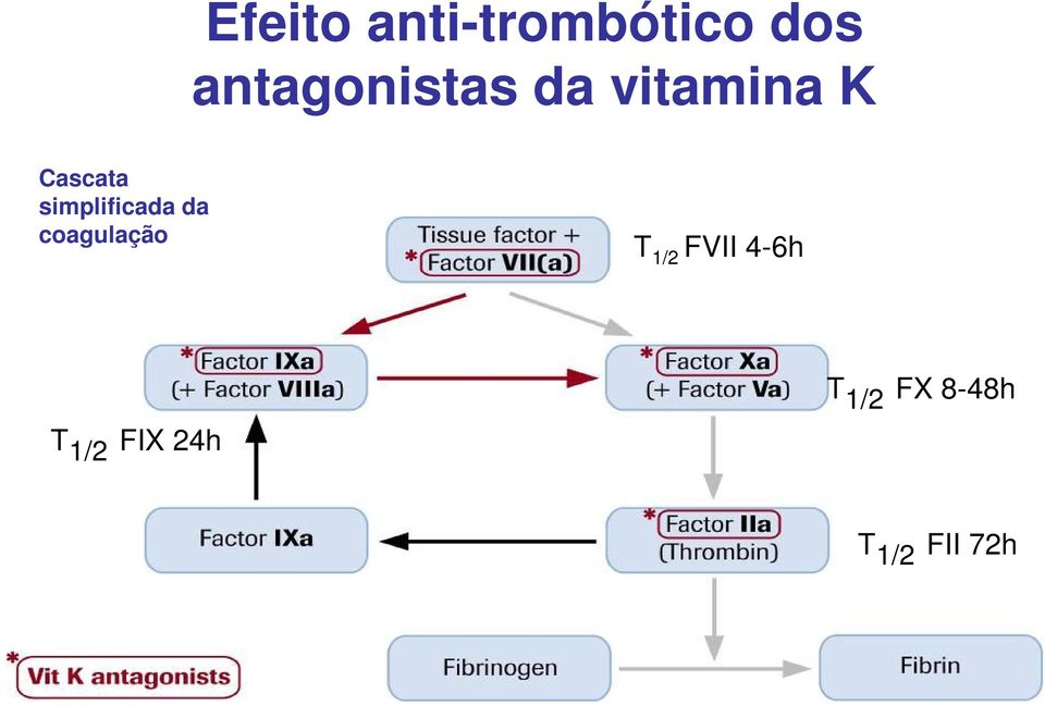 simplificada da coagulação T 1/2