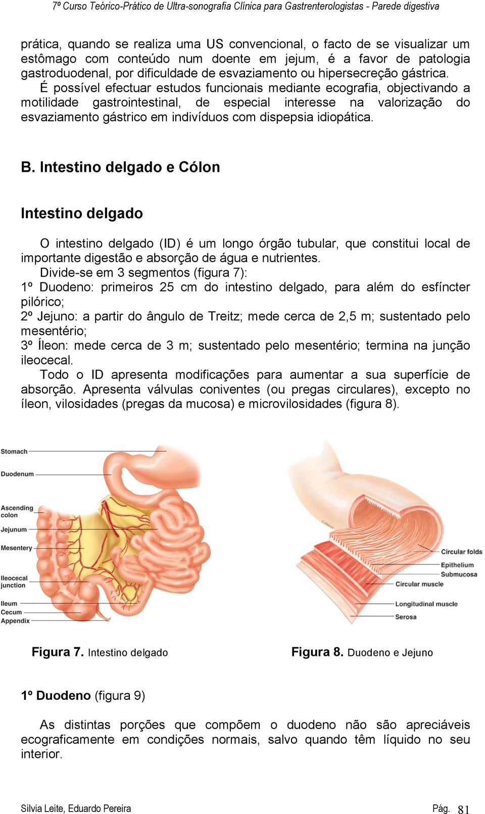 É possível efectuar estudos funcionais mediante ecografia, objectivando a motilidade gastrointestinal, de especial interesse na valorização do esvaziamento gástrico em indivíduos com dispepsia