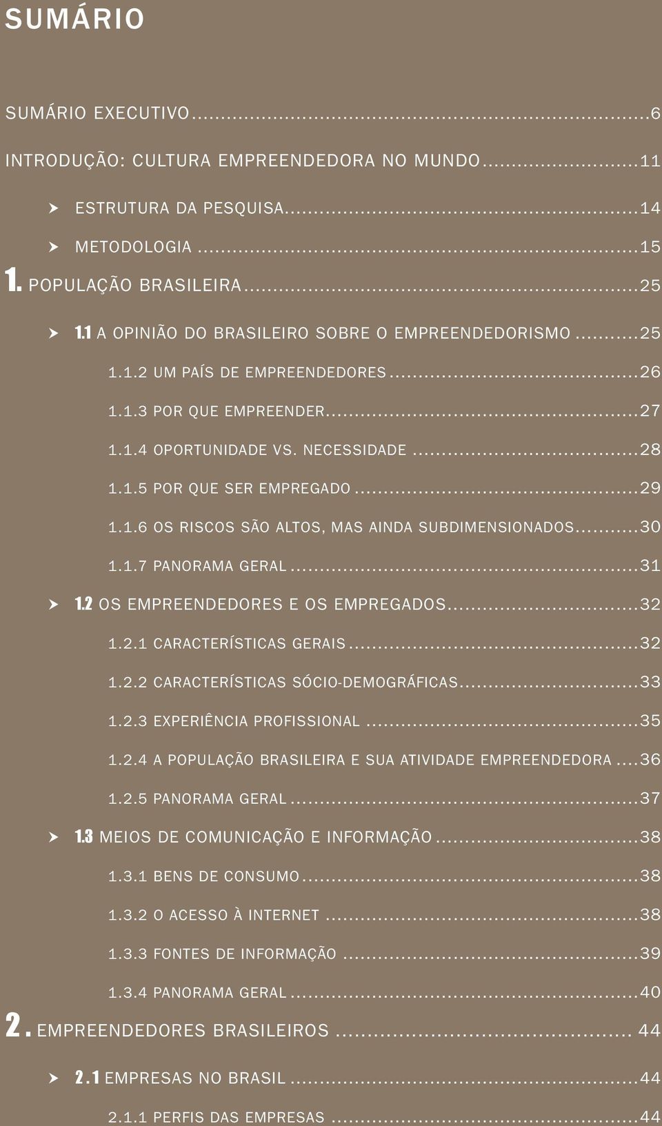 ..30 1.1.7 Panorama geral...31 1.2 Os empreendedores e os empregados...32 1.2.1 Características gerais...32 1.2.2 Características sócio-demográficas...33 1.2.3 Experiência profissional...35 1.2.4 A população brasileira e sua atividade empreendedora.