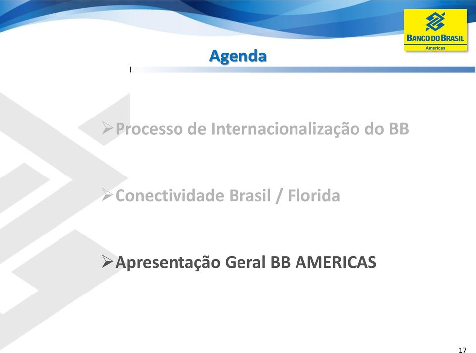 Conectividade Brasil /