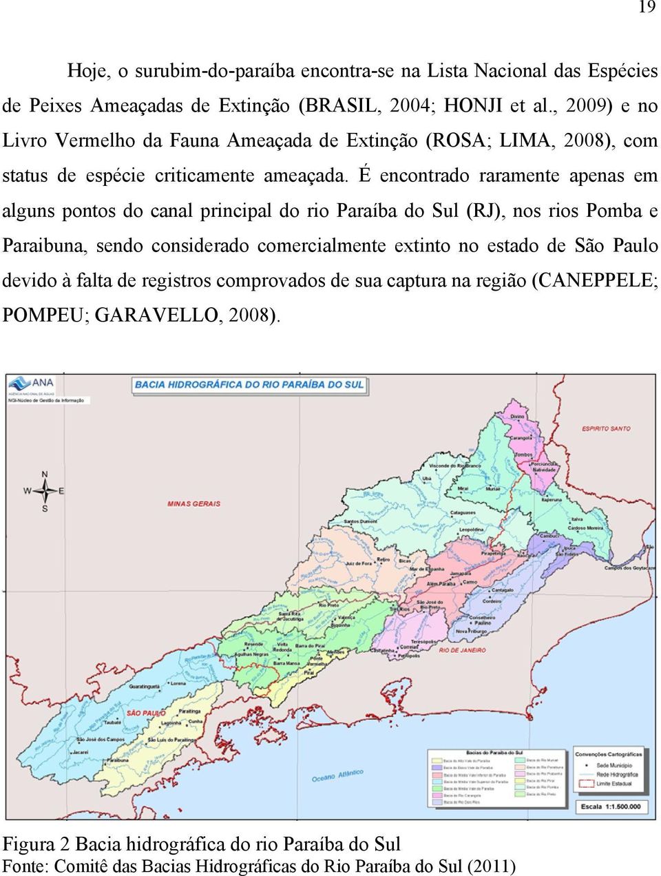 É encontrado raramente apenas em alguns pontos do canal principal do rio Paraíba do Sul (RJ), nos rios Pomba e Paraibuna, sendo considerado comercialmente extinto no