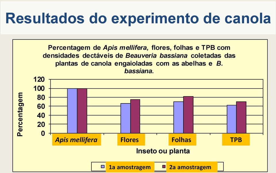 com as abelhas e B. bassiana.