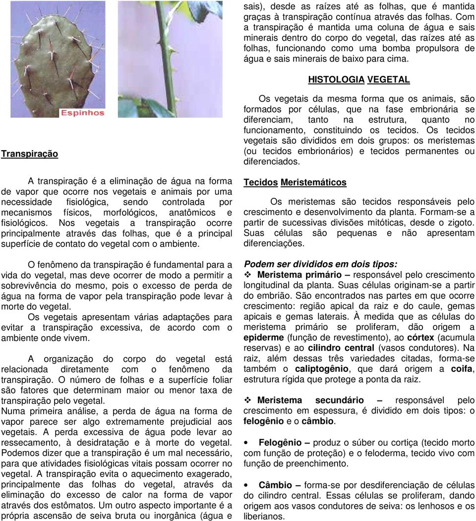 HISTOLOGIA VEGETAL Transpiração A transpiração é a eliminação de água na forma de vapor que ocorre nos vegetais e animais por uma necessidade fisiológica, sendo controlada por mecanismos físicos,