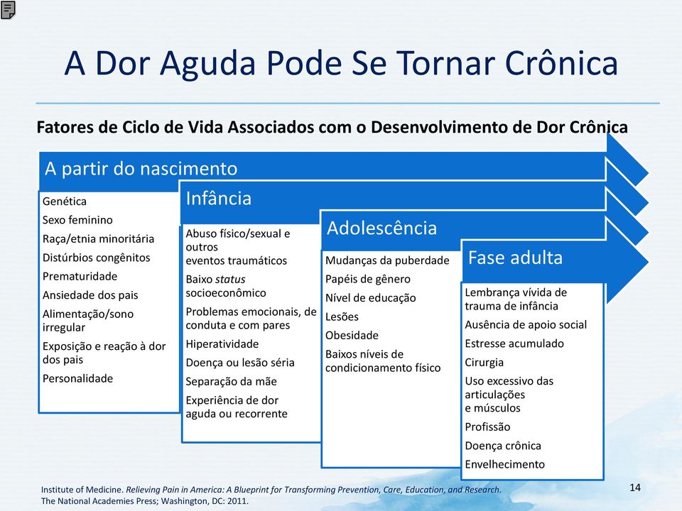 Problemas emocionais, de conduta e com pares Hiperatividade Doença ou lesão séria Separação da mãe Experiência de dor aguda ou recorrente Adolescência Mudanças da puberdade Papéis de gênero Nível de