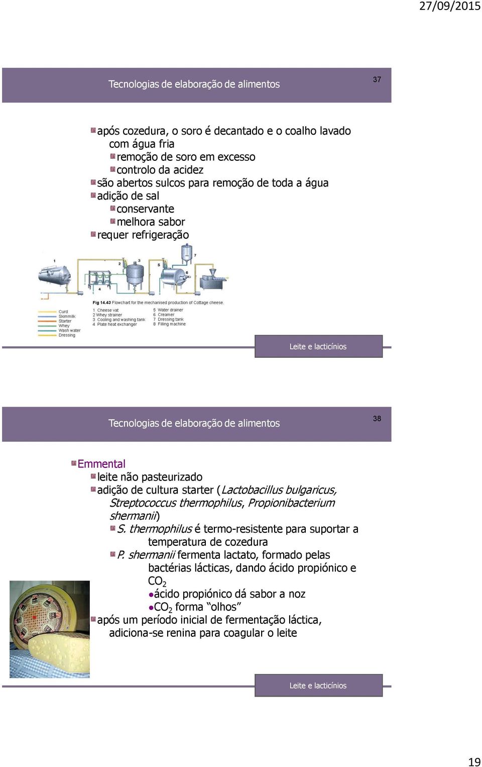 Propionibacterium shermanii) S. thermophilus é termo-resistente para suportar a temperatura de cozedura P.