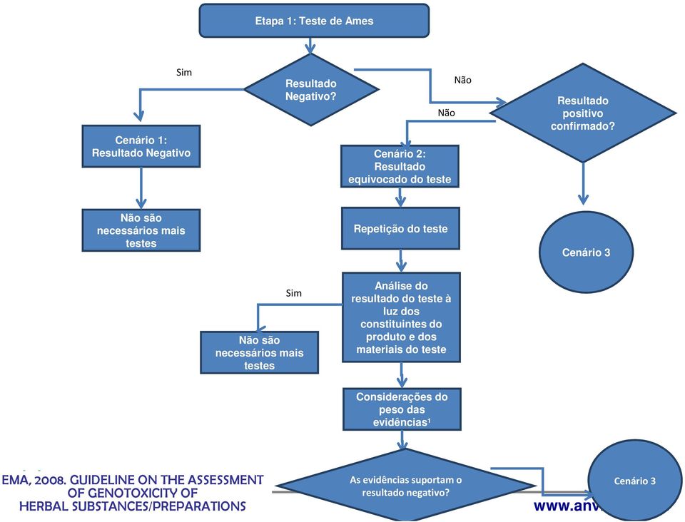 Sim Não são necessários mais testes Repetição do teste Cenário 3 Sim Não são necessários mais testes nálise do resultado do teste à luz dos