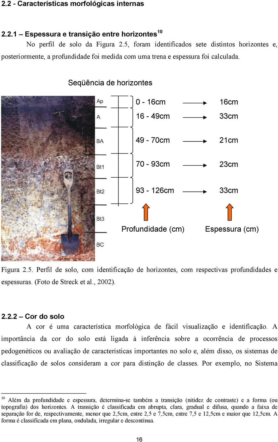 Seqüência de horizontes 0-16cm 16-49cm 16cm 33cm 49-70cm 21cm 70-93cm 23cm 93-126cm 33cm Profundidade (cm) Espessura (cm) Figura 2.5.