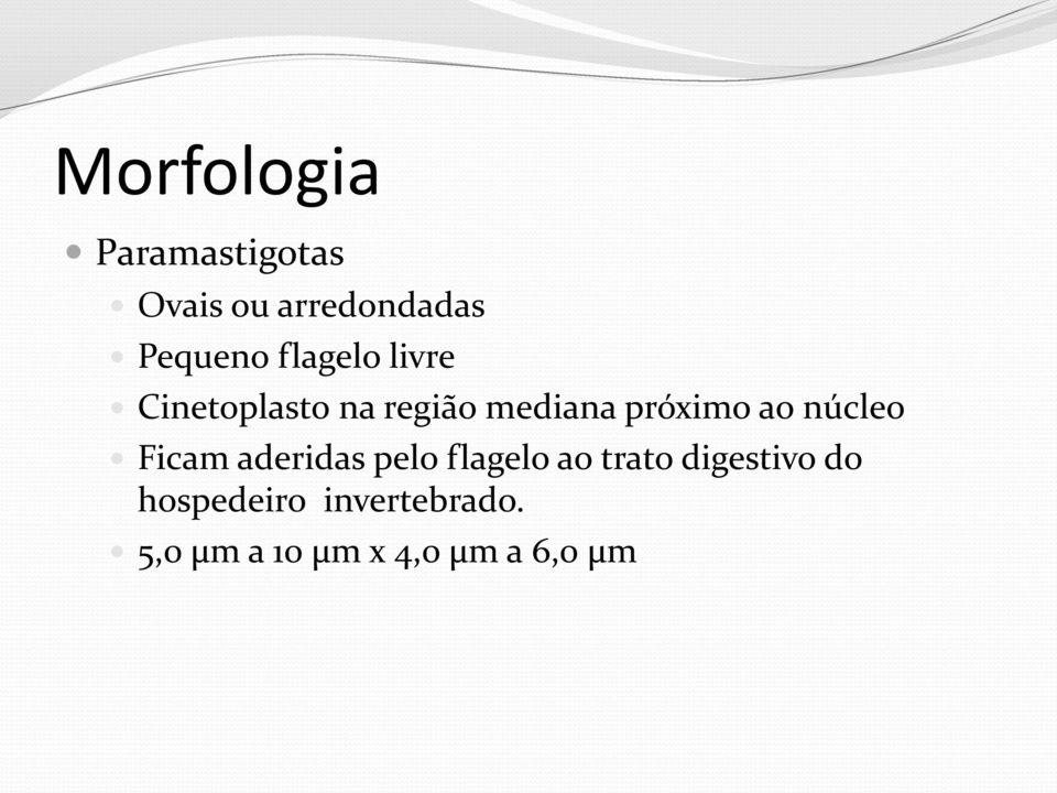 núcleo Ficam aderidas pelo flagelo ao trato digestivo do