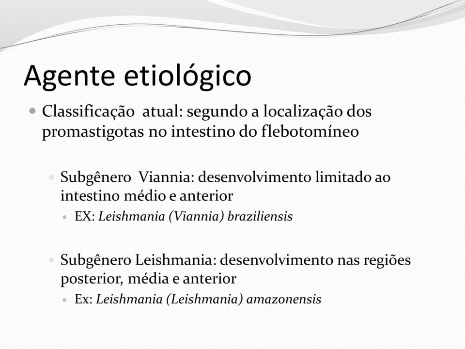 médio e anterior EX: Leishmania (Viannia) braziliensis Subgênero Leishmania: