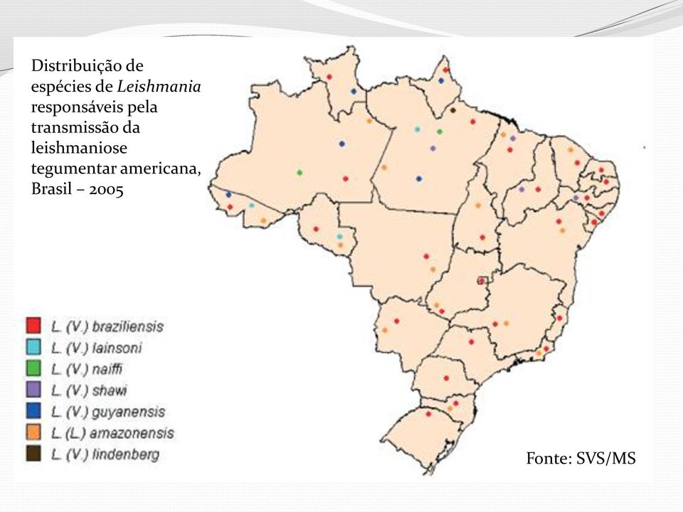 transmissão da leishmaniose