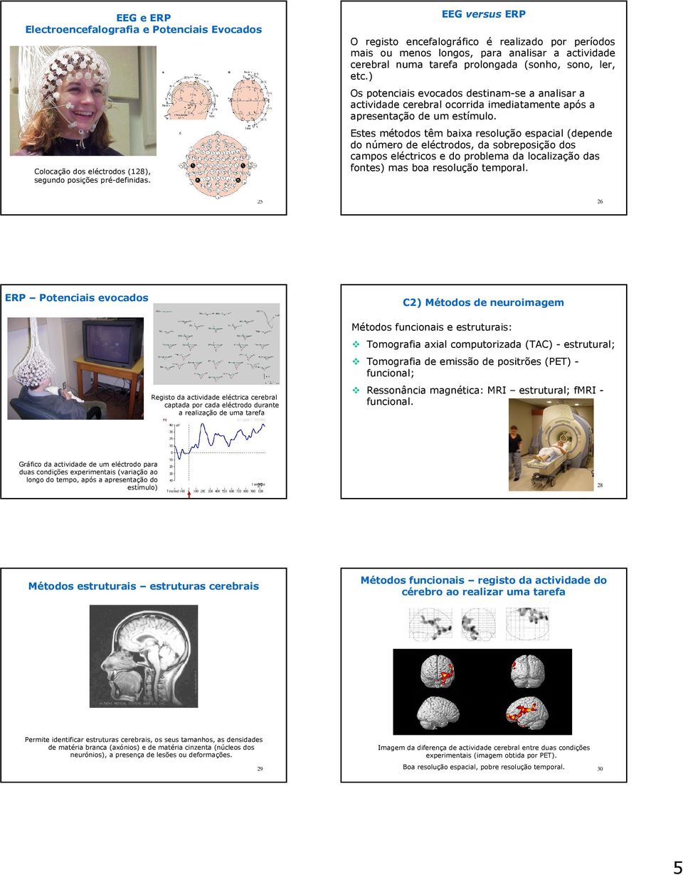 ) Os potenciais evocados destinam-se a analisar a actividade cerebral ocorrida imediatamente após a apresentação de um estímulo.