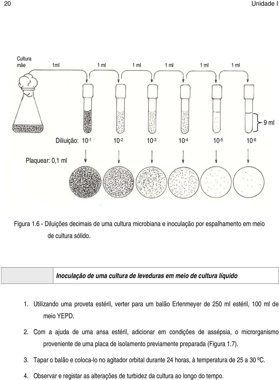 Utilizando uma proveta estéril, verter para um balão Erlenmeyer de 25