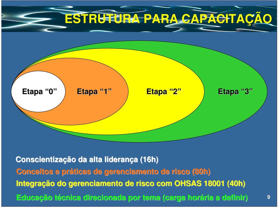 gerenciamento de risco (80h) Integração do gerenciamento de risco com