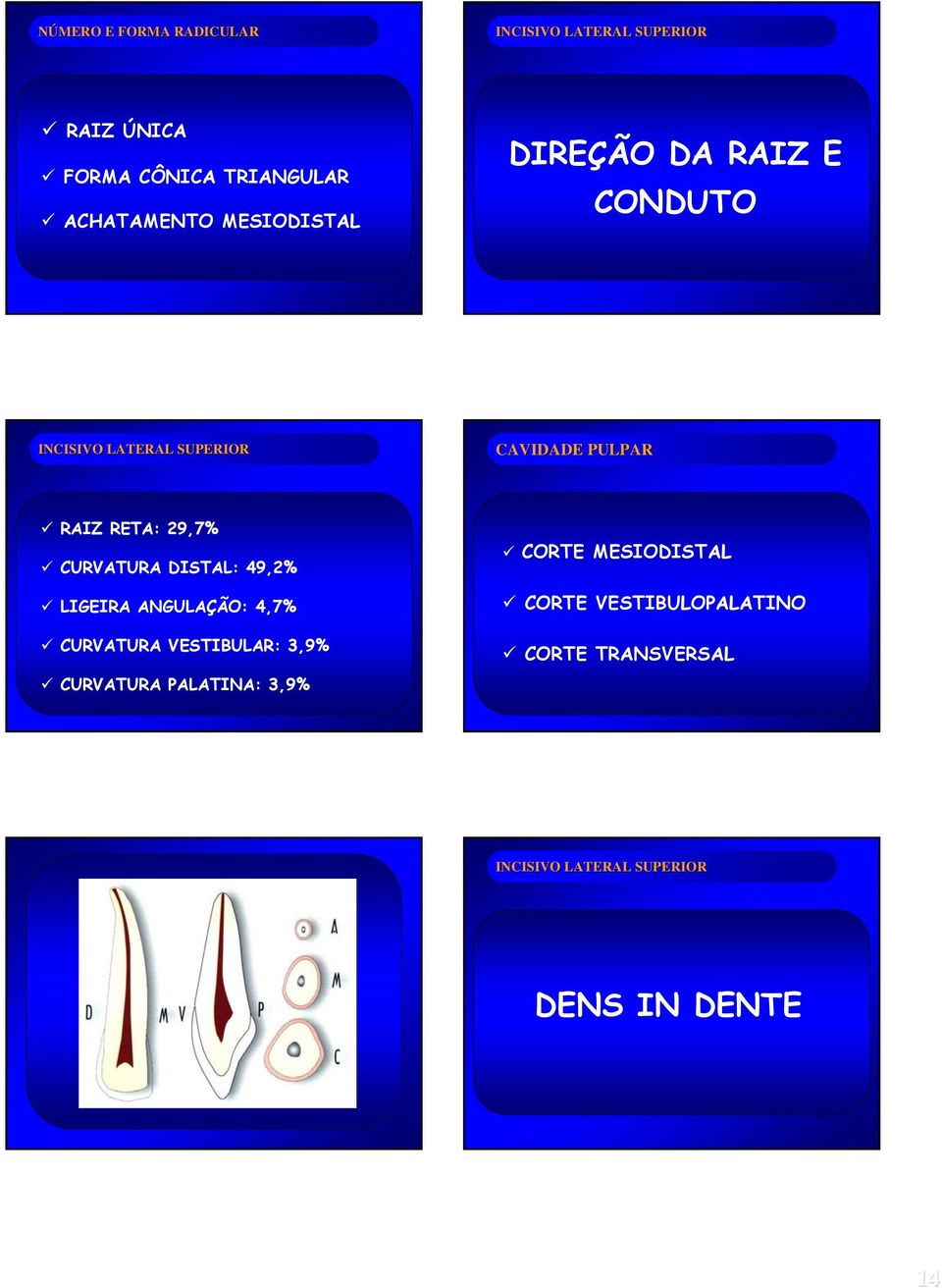 CURVATURA DISTAL: 49,2% LIGEIRA ANGULAÇÃO: 4,7% CURVATURA VESTIBULAR: 3,9% CURVATURA PALATINA: 3,9%