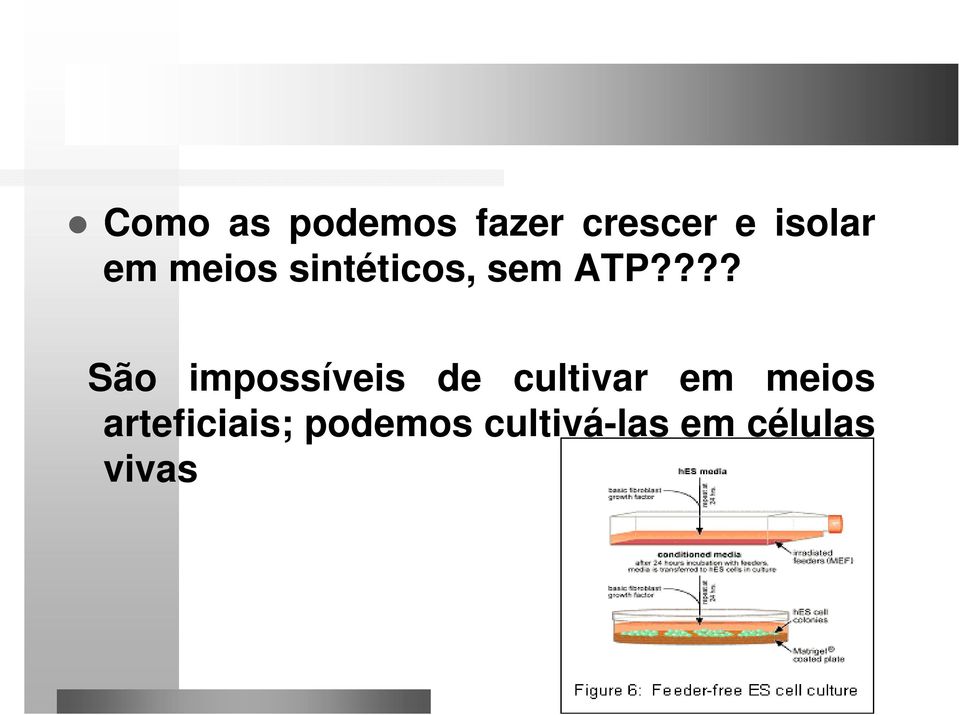 ??? São impossíveis de cultivar em