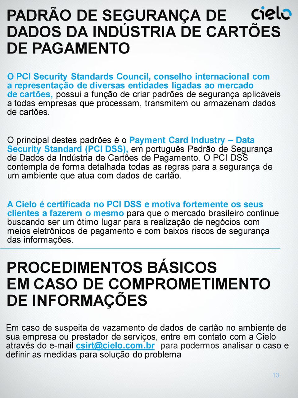 O principal destes padrões é o Payment Card Industry Data Security Standard (PCI DSS), em português Padrão de Segurança de Dados da Indústria de Cartões de Pagamento.