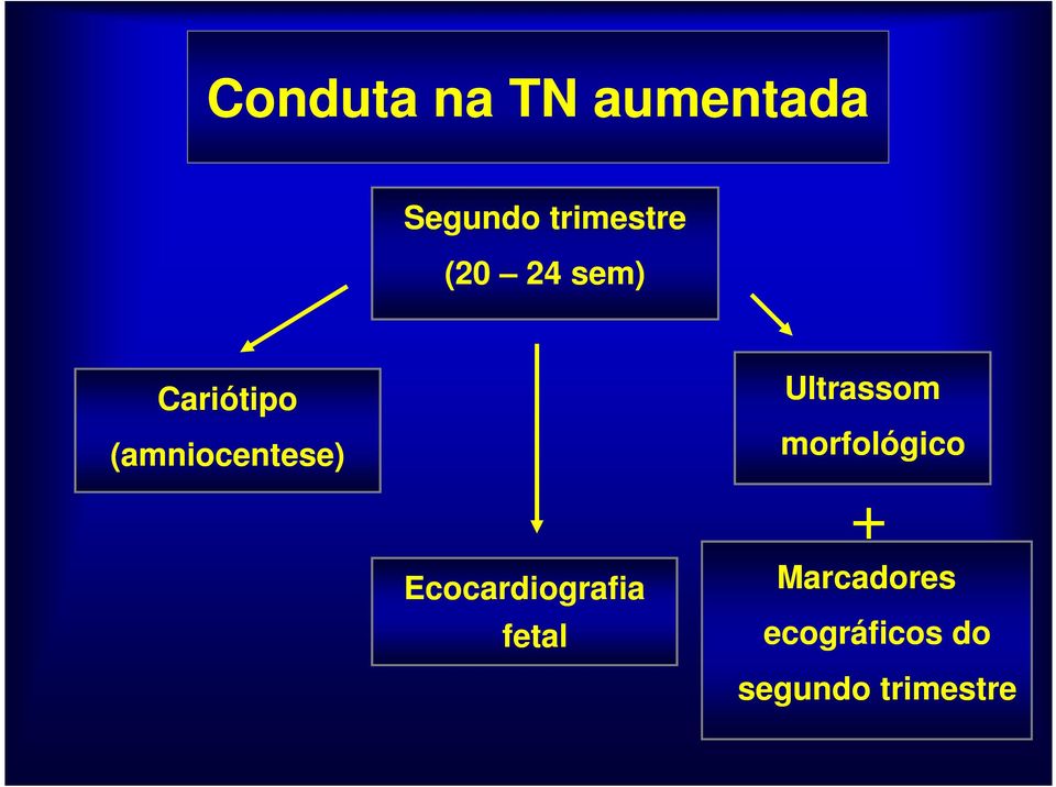 Ultrassom morfológico + Ecocardiografia