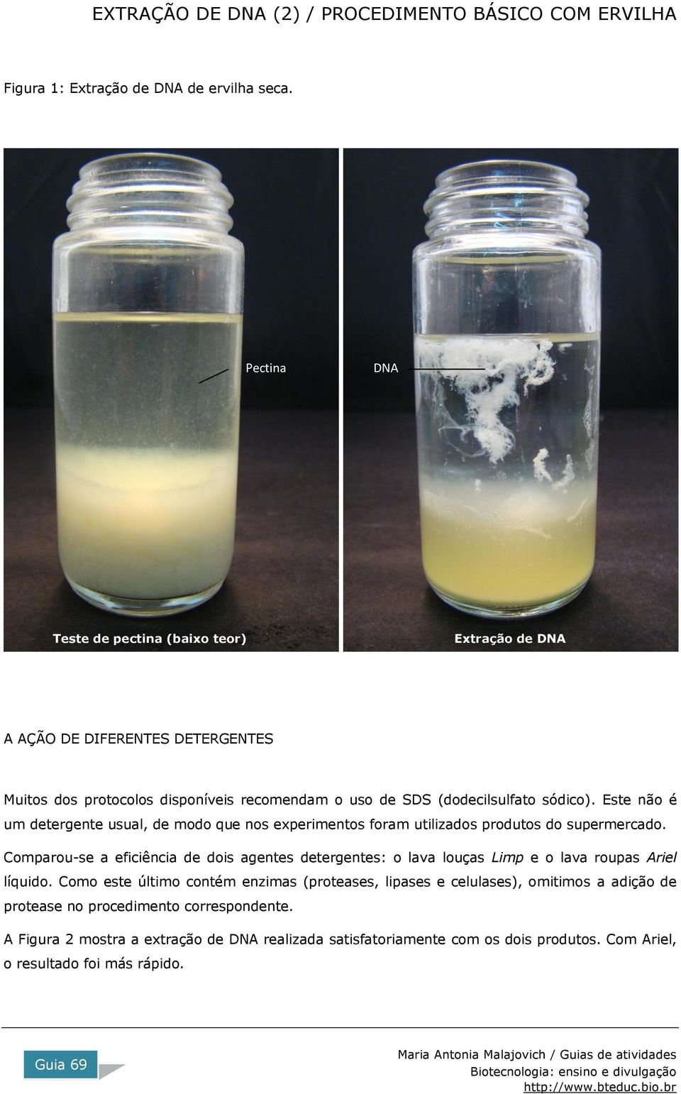 sódico). Este não é um detergente usual, de modo que nos experimentos foram utilizados produtos do supermercado.